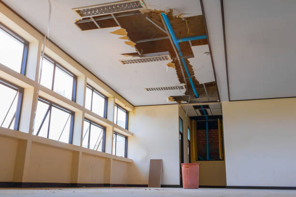 Best Ceiling water damage repair  in Thornton, CO