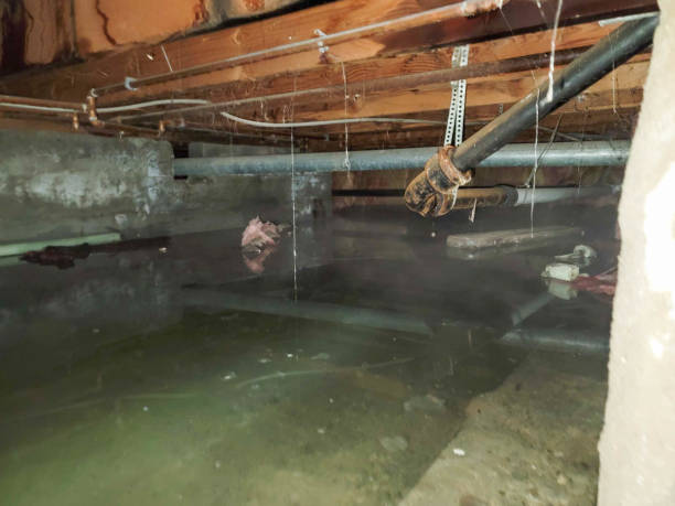 Professional Water damage restoration in CO