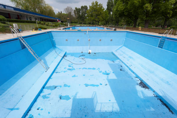 Best Flood damage cleanup  in Thornton, CO