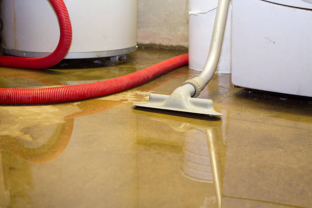 Best Water damage restoration near me  in Thornton, CO
